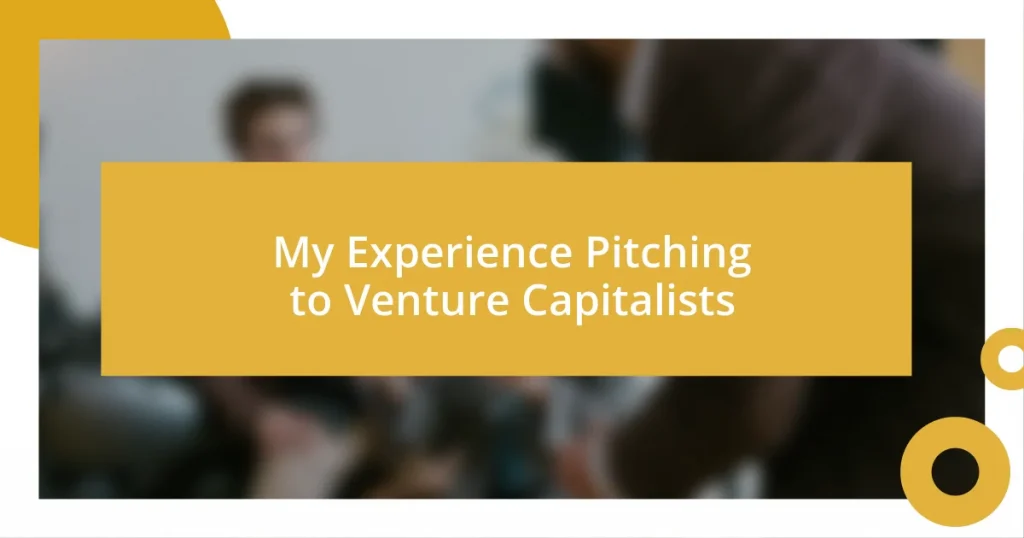 My Experience Pitching to Venture Capitalists